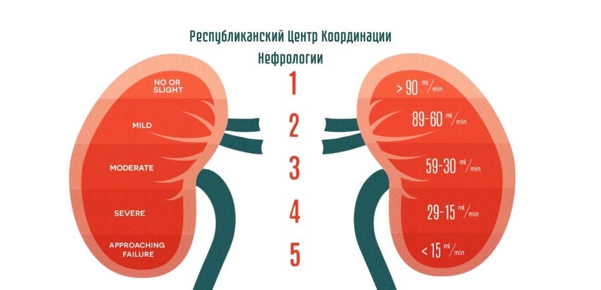 Логотип Республиканского центра координации нефрологии